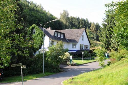 Hotel-Pension-Waldblick Garni Гиттерсдорф Экстерьер фото